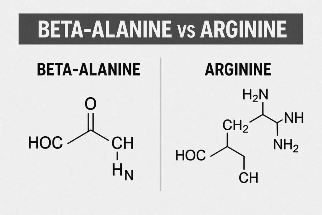 Beta-Alanine vs L-Arginine