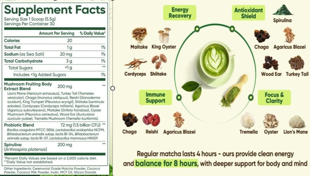Venture Pal Mushroom Matcha Powder Review